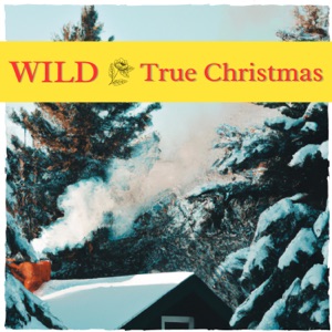 True Christmas - Single