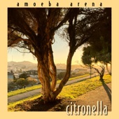 Amoeba Arena - Citronella