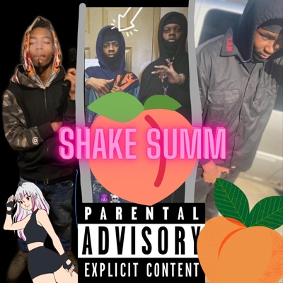 Shake Summ (feat. Marko P, SBB BabyJay, PNB Cam & BNF Sirge) - Single