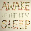 Awake Is the New Sleep, 2005