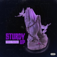 Sturdy Up - EP - Rico Benzo