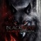 BLACK WOLF - Palmeños De Sinaloa lyrics