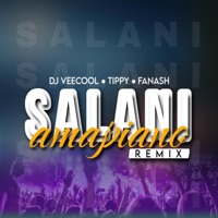 Salani Remake (feat. Dj Veecool & Fanash Beats) - Single - Tippy