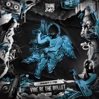 Vibe Be the Bullet - Single - Fast Life