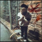 Bump Heads - Single