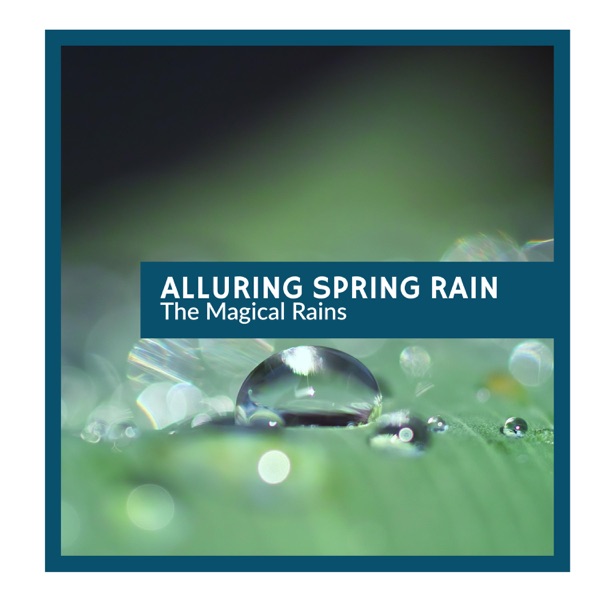 Alluring Spring Rain - The Magical Rains