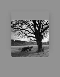 收听 Mimi Xu、观看音乐视频、阅读小传、查看巡演日期等 ！