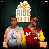 Ride Or Die - Single - Bashi T-male