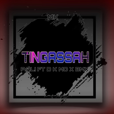 TINGASSAH (feat. D.K.MO & BMX) - Single