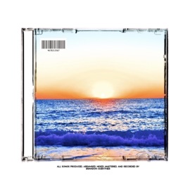 Surfing (feat. Justice the Artiste & Dasan) NAASH