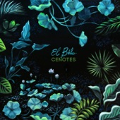 Cenotes (Deluxe Edition) artwork