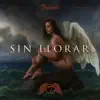 Rosas Negras