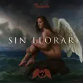 Rosas Negras