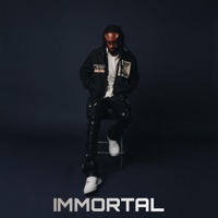 Immortal C Version - Anime Zayy