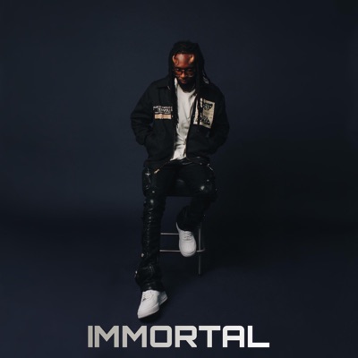 Immortal C Version