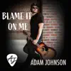 Blame It On Me