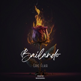 Bailando ERIC FLAIR