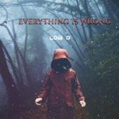 Everything Is Wrong artwork