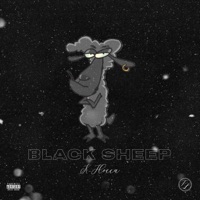Black Sheep - Single - K-Flocca