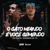 Stream & download O Gato Miando e Você Gemendo