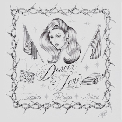 Danger Zone (feat. Rakaa & Ariano) - Single
