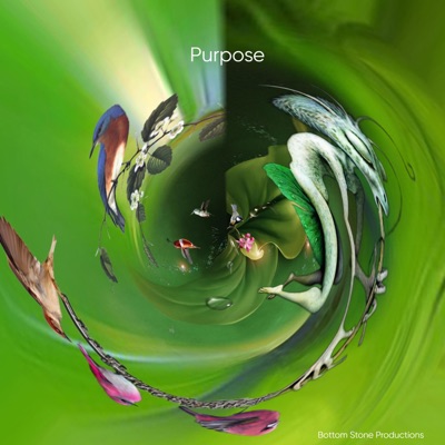 Purpose (feat. Dr. Rick Boswell) - Single