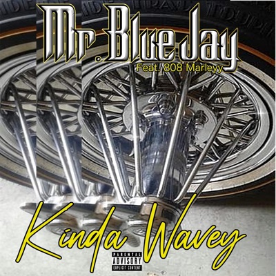 Kinda Wavey (feat. 808 Marleyy) - Single