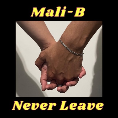 Never Leave - Single