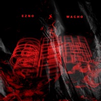 WACHO - Lyrics, Playlists & Videos | Shazam
