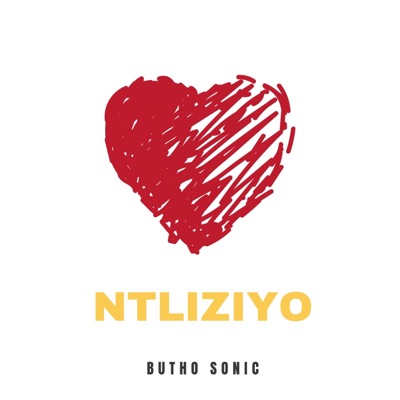 Ntliziyo - Single