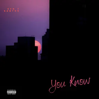 You Know - Single by Svn T & Santos album reviews, ratings, credits