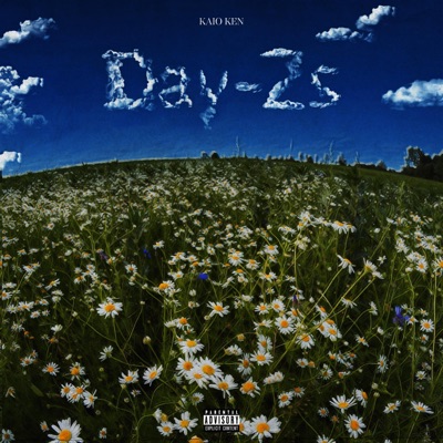 Day-Zs - Single