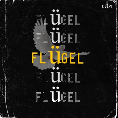 Flügel - Single