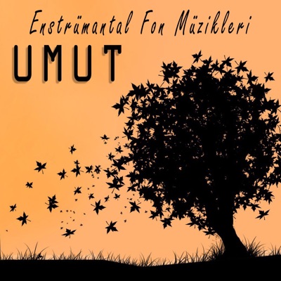 Umut (Enstrumantal Fon Müzikleri) - Single