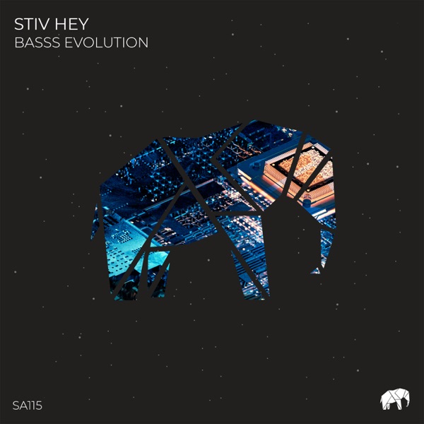 Basss Evolution - Single