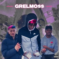 Grelmo$$ (feat. Bvcovia & Deedot) - Single - Lil Manzi