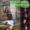 Transylvania Moonshine