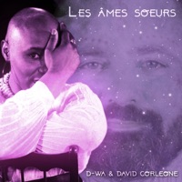 Les âmes sœurs - Single - DWA & David Corleone