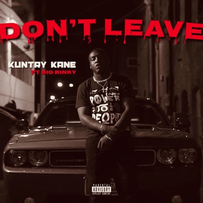 Don't Leave (feat. Big Binky) - Single