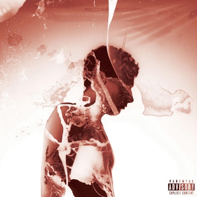 VIBE OR DIE//3 - Single