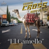 El Camello - Single - Grupo Cross Norteño