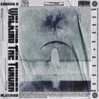 Walking the Tundra - Single - Alethiae & Carbon X