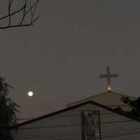 Enamored - Single - loverboy shawty