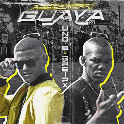 Adictos a Dar Guaya (feat. BREIPX & Indica Chino) - Single