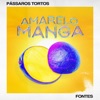 Amarelo Manga (feat. Fontes) - Single