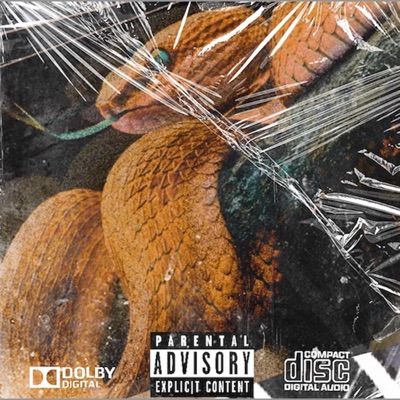 Snakes in my Garden (feat. Petey Walters & 03 Greedo) - Single