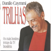 Eu Sei Que Vou Te Amar song art