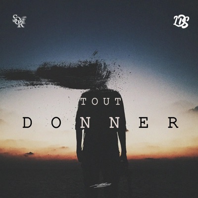 TOUT DONNER (feat. LDS) - Single