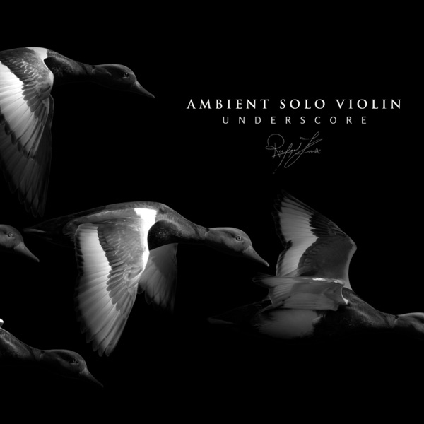 Ambient Solo Violin Underscore - Single