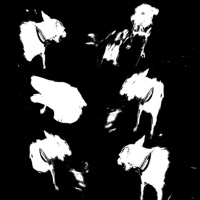 Valley of the Dogs (Every Night) - Single - jaso